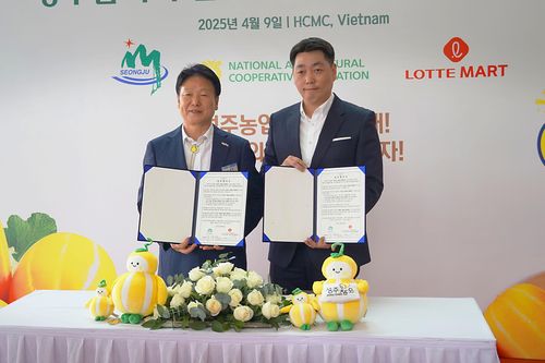 LOTTE Mart mở rộng thị trường xuất khẩu dưa lê Hàn Quốc