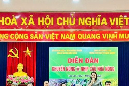 Nông dân Sóc Sơn được nâng cao kiến thức khoa học, kỹ thuật