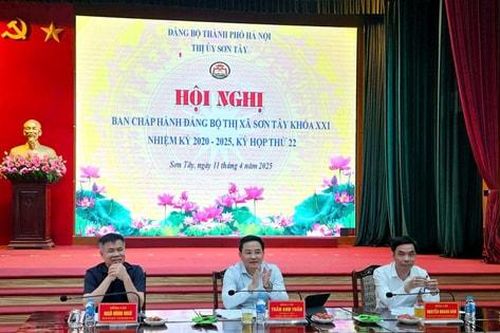Thị xã Sơn Tây: Xử lý dứt điểm vi phạm về đất đai trong tháng 5-2025
