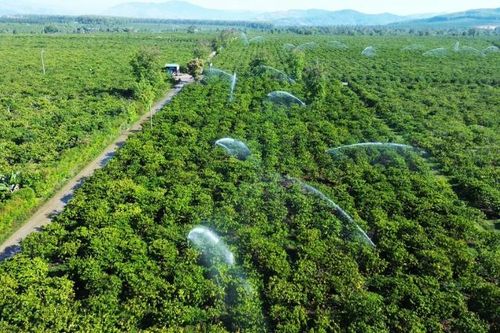 Sản xuất thích ứng biến đổi khí hậu