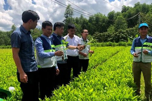 Phê duyệt Đồ án Quy hoạch chung xây dựng Khu lâm nghiệp ứng dụng công nghệ cao vùng Bắc Trung Bộ