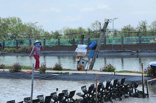 Thay đổi tư duy sản xuất nông nghiệp sang kinh tế nông nghiệp