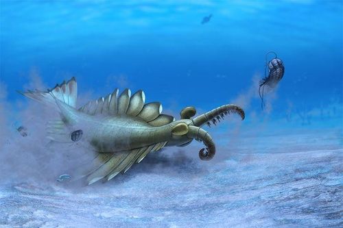 Rùng mình diện mạo sát thủ săn mồi từng thống trị đại dương