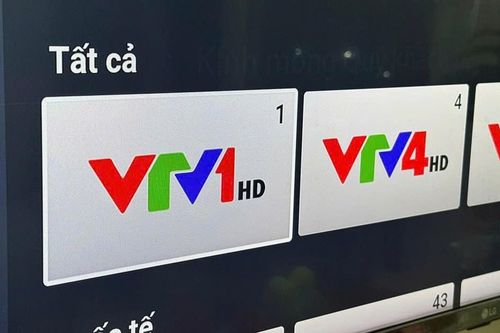 VTV giữ nhiệm vụ cung ứng dịch vụ truyền hình đối ngoại quốc gia