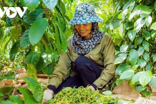 Việc cần làm ngay khi Mỹ hoãn áp thuế - Tăng tỷ lệ nội địa hóa sản phẩm