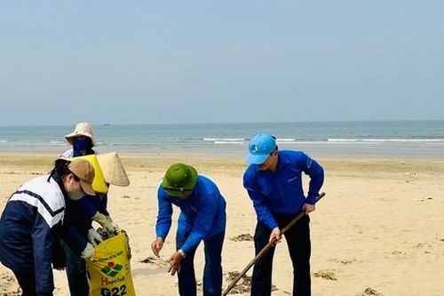 Thanh niên dọn sạch bờ biển