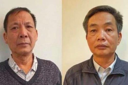 Nhóm cựu lãnh đạo Tổng Công ty Chè Việt Nam chuẩn bị hầu tòa vì gây thiệt hại hàng chục tỷ đồng