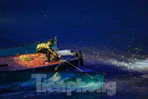 Ngư dân sông Hồng dậy từ 4 giờ sáng săn đặc sản chỉ sống hơn 20 phút