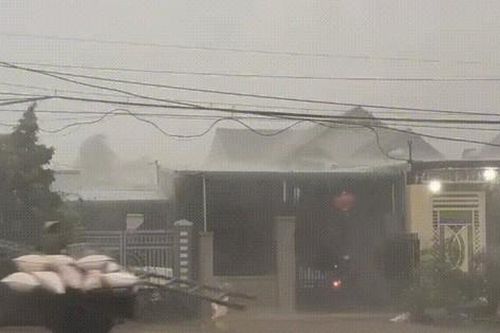 'Mưa vàng' giải nhiệt nhiều vùng nắng hạn ở Đắk Lắk, Đắk Nông