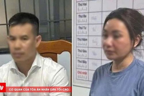 Tạo giao dịch ảo, vợ chồng Việt kiều chiếm đoạt tiền tỷ