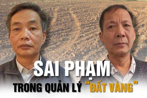 Những lần làm liều trên các ô 'đất vàng' của dàn lãnh đạo Tổng Công ty Chè