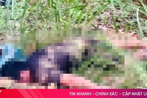 Phát hiện người đàn ông tử vong bên QL 8A ở Hương Sơn