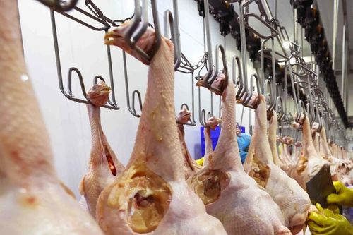 Bộ Y tế: Khẩn trương điều tra vụ 29 học sinh nghi ngờ ngộ độc ở TP Hồ Chí Minh