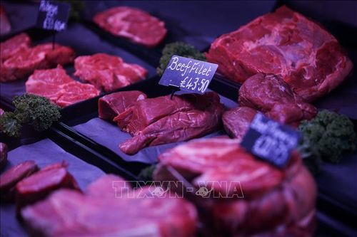 Anh cấm mang thịt và sữa từ EU do lo ngại dịch lở mồm long móng