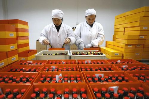 Chiến tranh thương mại Mỹ - Trung: Ngành dược phẩm đứng trước sóng gió hay cơ hội?