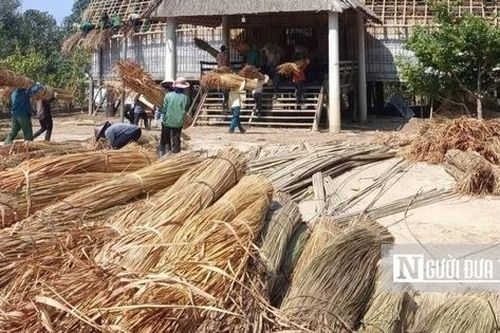Hành trình 'thay áo mới' cho nhà rông lớn nhất Tây Nguyên