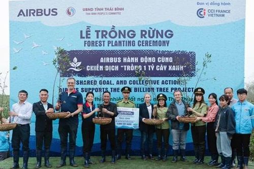 Hưởng ứng chiến dịch 'Trồng 1 tỷ cây xanh' phục hồi hệ sinh thái