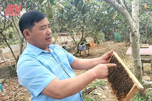 Làm giàu từ nghề nuôi ong lấy mật