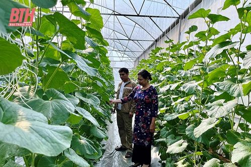 Những việc làm dung dị đem lại lợi ích lớn