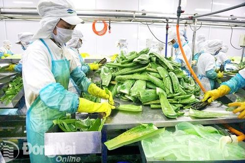 Đồng Nai và doanh nghiệp cùng đồng hành hỗ trợ phát triển