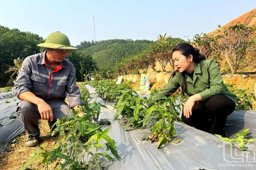 Để nông dân vững bước ra khỏi 'lối mòn'