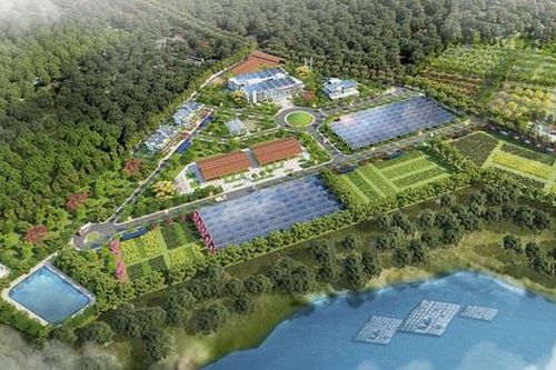 Quy hoạch khu lâm nghiệp Bắc Trung Bộ phát triển theo hướng hiện đại