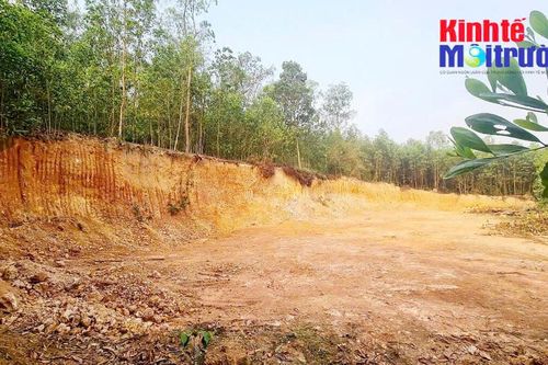 Tỉnh Thanh Hóa chỉ đạo xác minh, làm rõ thông tin bài viết trên Tạp chí Kinh tế Môi trường