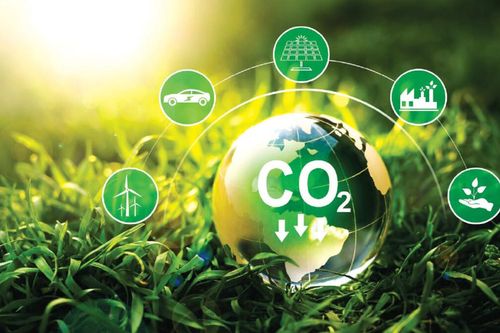 Doanh nghiệp Việt: Sẵn sàng bứt phá trong thị trường carbon?