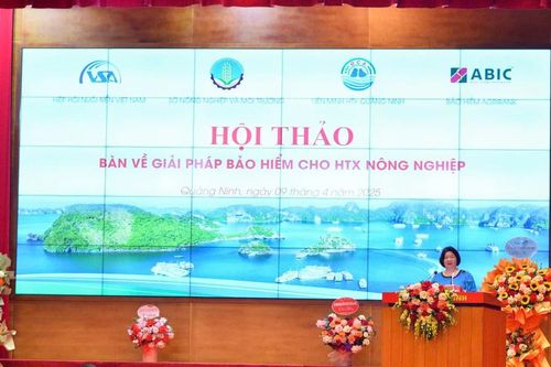 Lá chắn vững chắc cho hợp tác xã