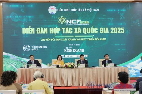 Đến năm 2045 Việt Nam có ít nhất 3 HTX lọt top toàn cầu