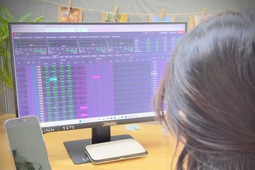 Kỷ lục chứng khoán Việt: VN-Index tăng nhanh nhất lịch sử, ngày vui màu tím kéo dài bao lâu?