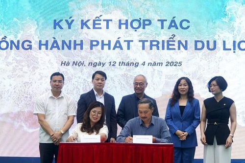 Khám phá Đà Nẵng 2025 với những hoạt động du lịch đa trải nghiệm