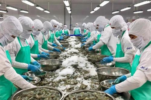 Đặt mục tiêu gỡ 'thẻ vàng' IUU trong quý 4-2025