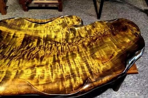 Tận mục loại gỗ quý hiếm hơn vàng, giá bằng vài căn biệt phủ