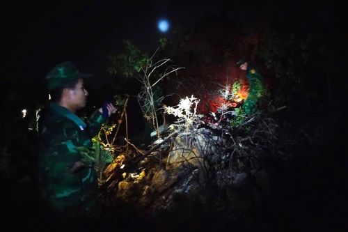 Khánh Hòa: Kịp thời khống chế cháy rừng trên đảo Hòn Tre