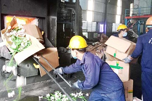 Báo chí dẫn dắt, cổ vũ công tác bảo vệ môi trường, chuyển đổi xanh
