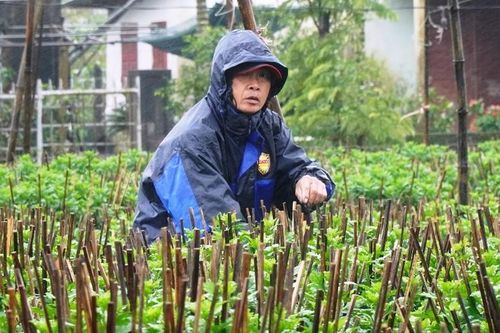 Huế lạnh như mùa đông vào giữa tháng 4
