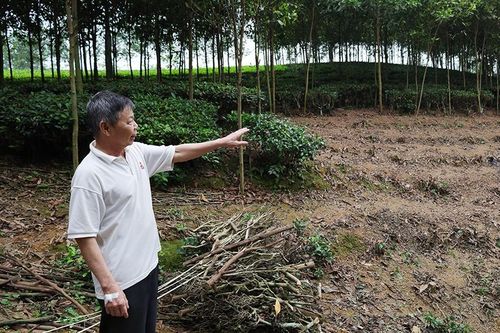 Triển khai dự án đường dây 500kV: Người dân đồng thuận nhường đất, dời nhà
