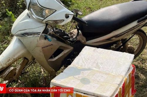 Phát hiện hai vụ vận chuyển rắn và lâm sản trái phép
