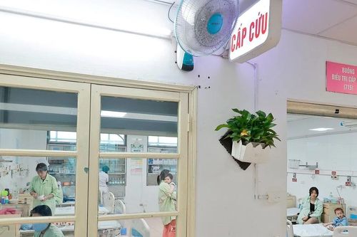 Hà Nội ghi nhận trường hợp mắc não mô cầu đầu tiên trong năm 2025