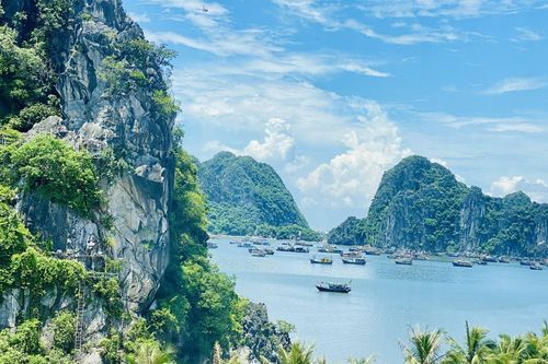Du lịch tự túc lên ngôi trong năm 2025