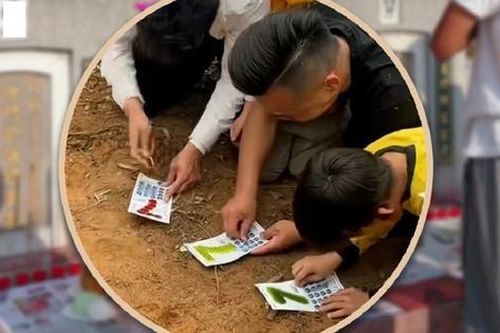 Mang vé số ra mộ tổ tiên cào lấy 'lộc', chàng trai 25 tuổi bất ngờ trúng liên tiếp mấy giải