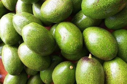 Cụ ông 125 tuổi sống thọ nhất thế giới hay ăn 1 loại quả, ở Việt Nam sắp vào mùa