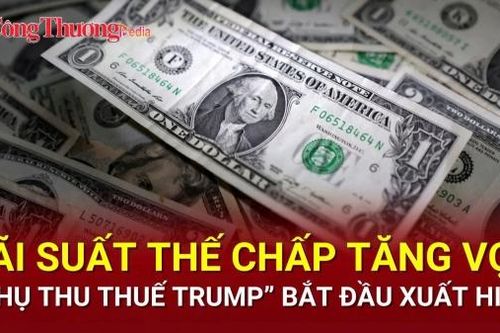 Tin thuế quan 13/4: Hải quan Mỹ khắc phục lỗi, cứu loạt hàng đang vận chuyển