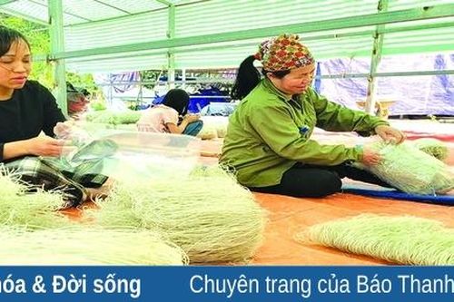 Phát triển dong riềng thành cây trồng chủ lực