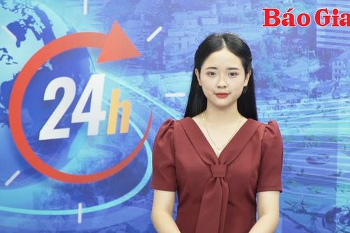 Gia Lai 24h: Gia Lai có 16 dự án đầu tư trồng rừng, tổng vốn hơn 312 tỷ đồng