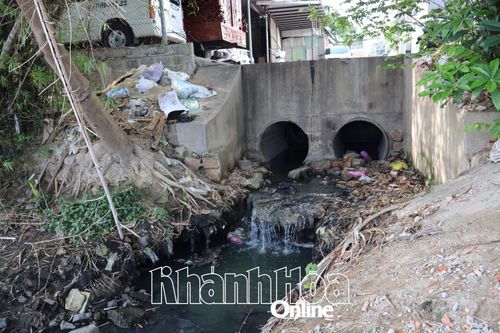 UBND TP. Nha Trang chỉ đạo xử lý nghiêm các trường hợp tự ý lắp đặt đường ống xả thải trực tiếp ra sông Quán Trường