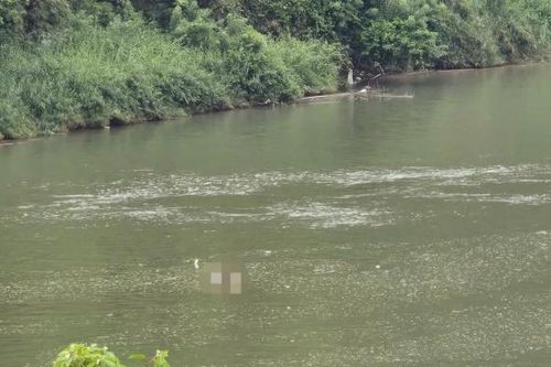 Đã xác định được danh tính thi thể người đàn ông nổi trên sông Đồng Nai