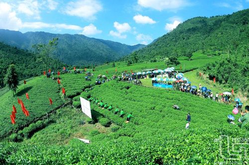 Thái Nguyên: Kích cầu để đạt mục tiêu 6 triệu lượt du khách