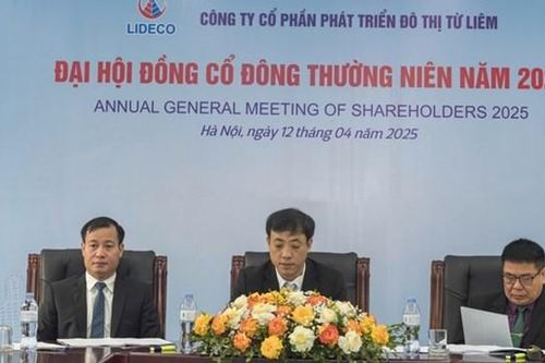 ĐHĐCĐ 2025 Lideco (NTL): Đặt kế hoạch lợi nhuận 2025 giảm 96% do không có dự án bán hàng, đã giải ngân 300 tỷ vào chứng khoán
